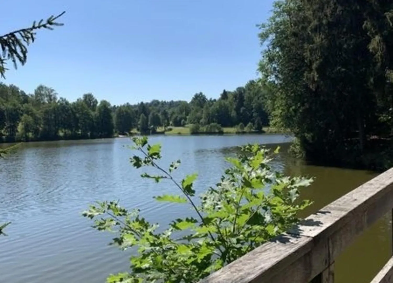 Ferienland Sonnenwald Fewo 5 Schofweg