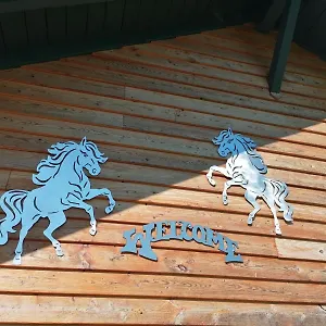  Ferienhaus Wild Life Ranch